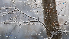 音乐短片 - Just fly