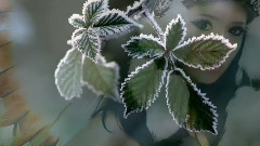 音乐短片 - 女巫医