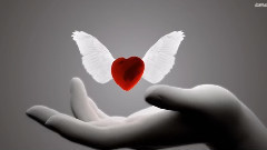 音乐短片 - 我告诉过你