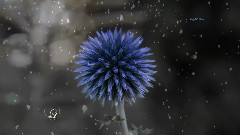 音乐短片 - Frosted View