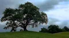 音乐短片 - 微风细雨