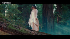 俄罗斯群星 - Там нет меня