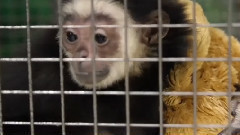 音乐短片 - Денис Виктория