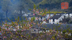 音乐短片 - 那就是我