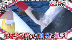 AKB48 - 淳・ぱるるの バイト ep30