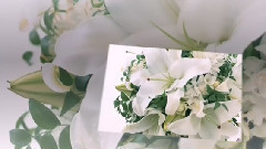 音乐短片 - ПРИКОСНОВЕНИЕ НЕЖНОСТИ