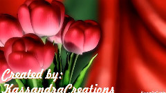 音乐短片 - Yiruma and Oas