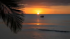 音乐短片 - Vocal Trance Music