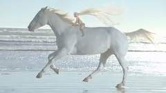 音乐短片 - White View