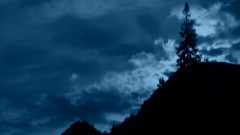 音乐短片 - Sad Moonlight