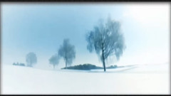 音乐短片 - 雪地上的回忆