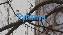 Pyhimys - Aina Ku Aira