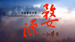 音乐短片,风景 - 绿叶对根的情意 醉美婺源