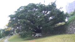 音乐短片 - 清晨