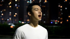 亚洲群星,群星 - Can't Help Falling In Love & Make You Feel My Love(Cover)