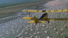 音乐短片 - 远离非洲