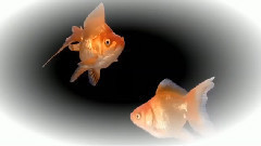 音乐短片 - 夜的钢琴曲七