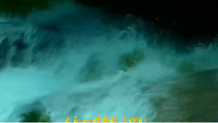 音乐短片 - 萍聚