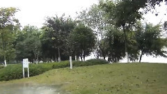 音乐短片 - Spring Water(春水)