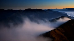 音乐短片 - 今夜无眠