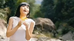 华语群星 - 我悄悄蒙上你的眼睛