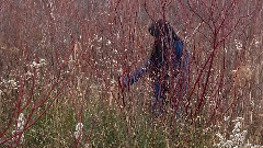 音乐短片 - MANI NASRY DIRECTING & PRODUCING REEL