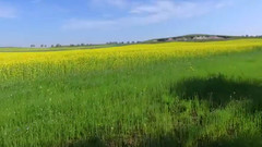 音乐短片,风景 - 北疆秋色 寻找最原始美景 喀纳斯