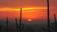 音乐短片 - Milestone