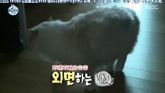 姜敏赫(CNBLUE),CNBLUE - WDZSH E134 MH Cut