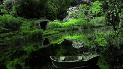 音乐短片 - Amethystium MEADOWLANDHD