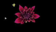 音乐短片 - 飘摇