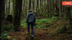 音乐短片 - 小林杰被情所困