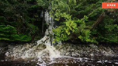 音乐短片 - 年少有你