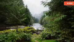 音乐短片 - 绿罗裙