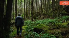 音乐短片 - 泸沽情思