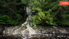 音乐短片 - 乱世俱灭