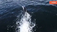 音乐短片 - 多远都要在一起