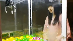 AKB48,SKE48 - BBQ755 江龙抓球球短视频