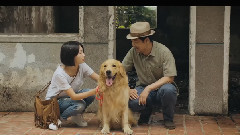 华语群星,陈赫,窦骁,姚晨 - 电影<一切都好>终极版预告片(贾樟柯彩蛋)