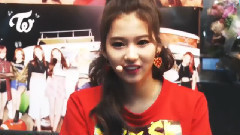 TWICE - Sana 蠢萌集锦