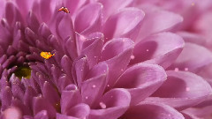 音乐短片 - Reason