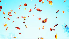 音乐短片 - Heart S.E.N.S.