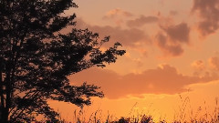 音乐短片 - Like a Wind S.E.N.S