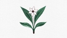 F(x) - 12点 25分 (Wish List) 试听版