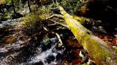 音乐短片 - 倾国倾城