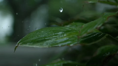 音乐短片 - Relaxing Rains Of Asia By Musical Spa