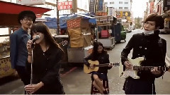 华语群星 - 猫的夏天