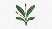 Red Velvet - 三个愿望 (Wish Tree) 试听版