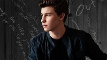 Shawn Mendes - Life Of The Party 中文字幕版