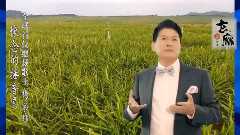 华语群星 - 怀念的播音员